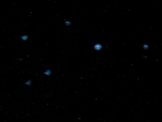 �ץ쥤���ǥ�����