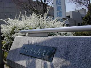 ���綶�פä�...