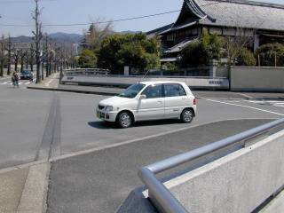 ŷ���綶 ����