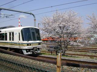 Ŵƻ�̿���ɤ�