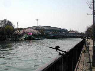 ��ŷ���̵�