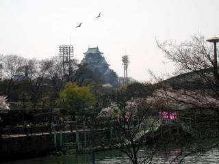 �����į���