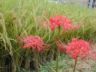 ��߲֤Ȱ���