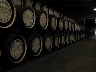 �ܳФ���Ԥ����᤿��