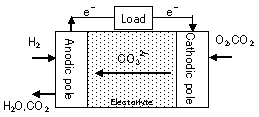 Basic structure of MCFC