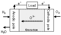 Basic structure of SOFC