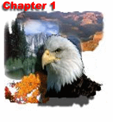 Chapter1