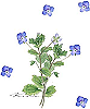 153ooinufuguri_thumb.png