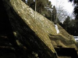 ���Z�⑺��