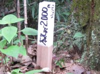 ��a�����{�ۂ܂ł̋����W