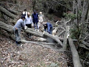 �����Ր���