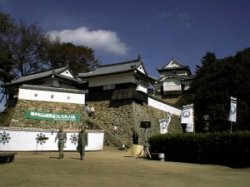 �������R��