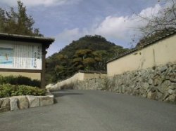 �����鉺��