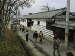 ����鉺��