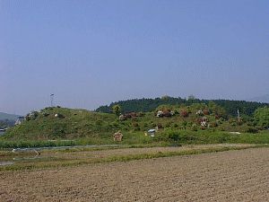 �s����R�Õ�