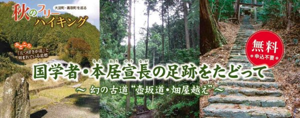 �����z����⓹