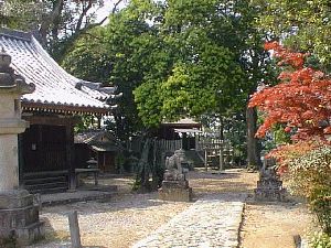 �q���_��