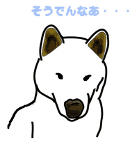 世田谷梅丘のkarin studio