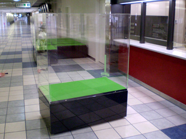 P9180008.jpg