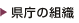 �����̑g�D