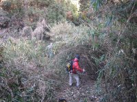 �D�q�ٓV�_�ЎQ������(H24.01.29)