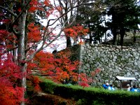 備中松山城の紅葉