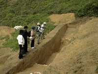 ���ǒˌÕ�(11)